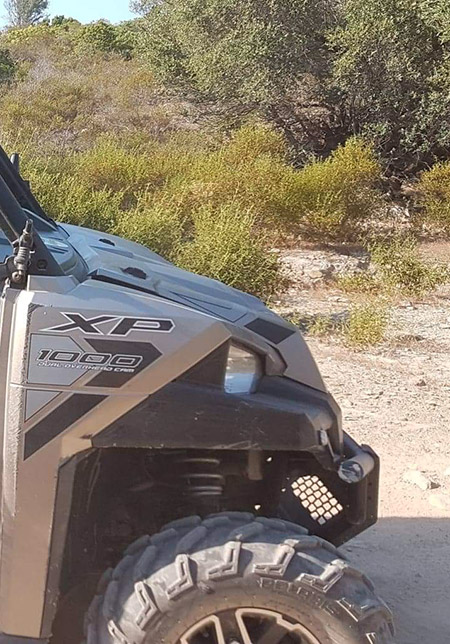 buggy-ranger-crew-800cm3